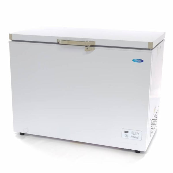 Congélateur Coffre Professionnel 282 Litres