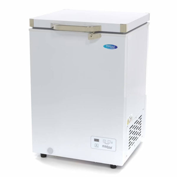 Congélateur Coffre Professionnel 93 Litres